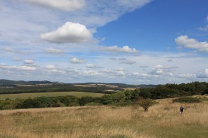 View over the South Downs from the top of Kingley Vale